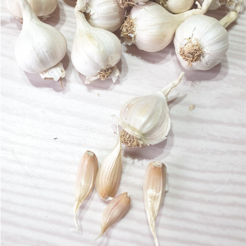 Ly Son garlic price per ton new season competitive price white garlic wholesale normal Ly Son island origin Vietnam