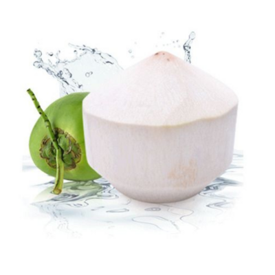 Wholesale coconut water diamond shape fresh coconuts export  from Ben Tre Vietnam fresh coconut price in EU, UK