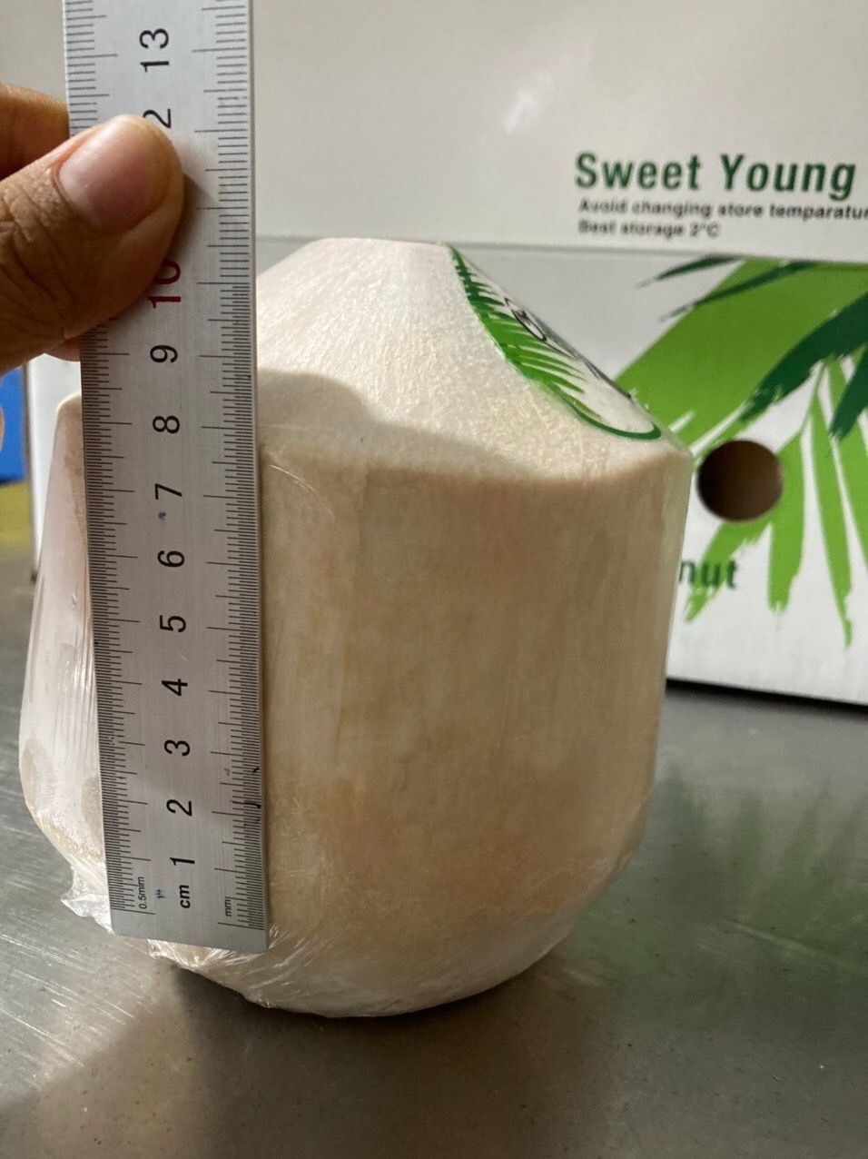 Premium Fresh Coconut diamond from Vietnam 100% Natural Premium Grade of Fresh Coconut The Best Seller