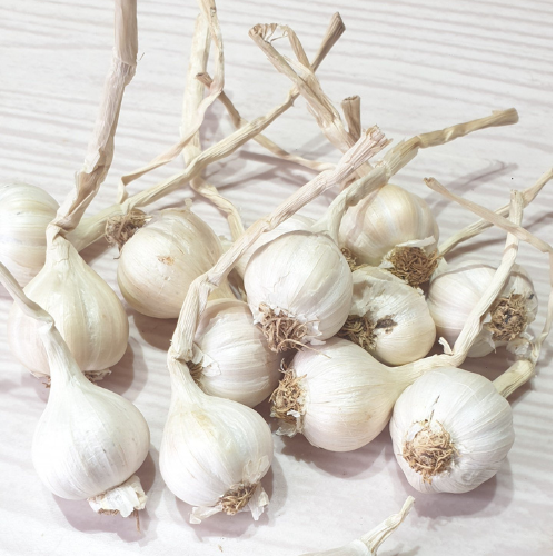 Ly Son garlic price per ton new season competitive price white garlic wholesale normal Ly Son island origin Vietnam