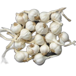 Ly Son garlic price per ton new season competitive price white garlic wholesale normal Ly Son island origin Vietnam