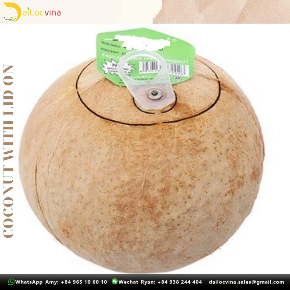 FRESH YOUNG COCONUT  FROM VIETNAM  BEST SELLER READY TO DRINK