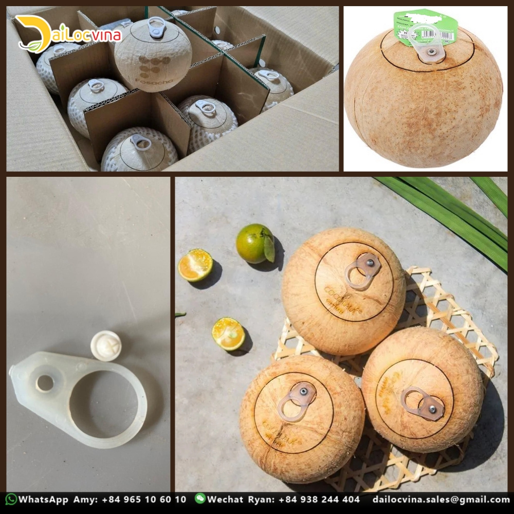 HOT PRICE ORGANIC TROPICAL EASY OPEN TOP AND BALD FRESH YOUNG COCONUT MADE FROM DAILOCVINA IN VIETNAM