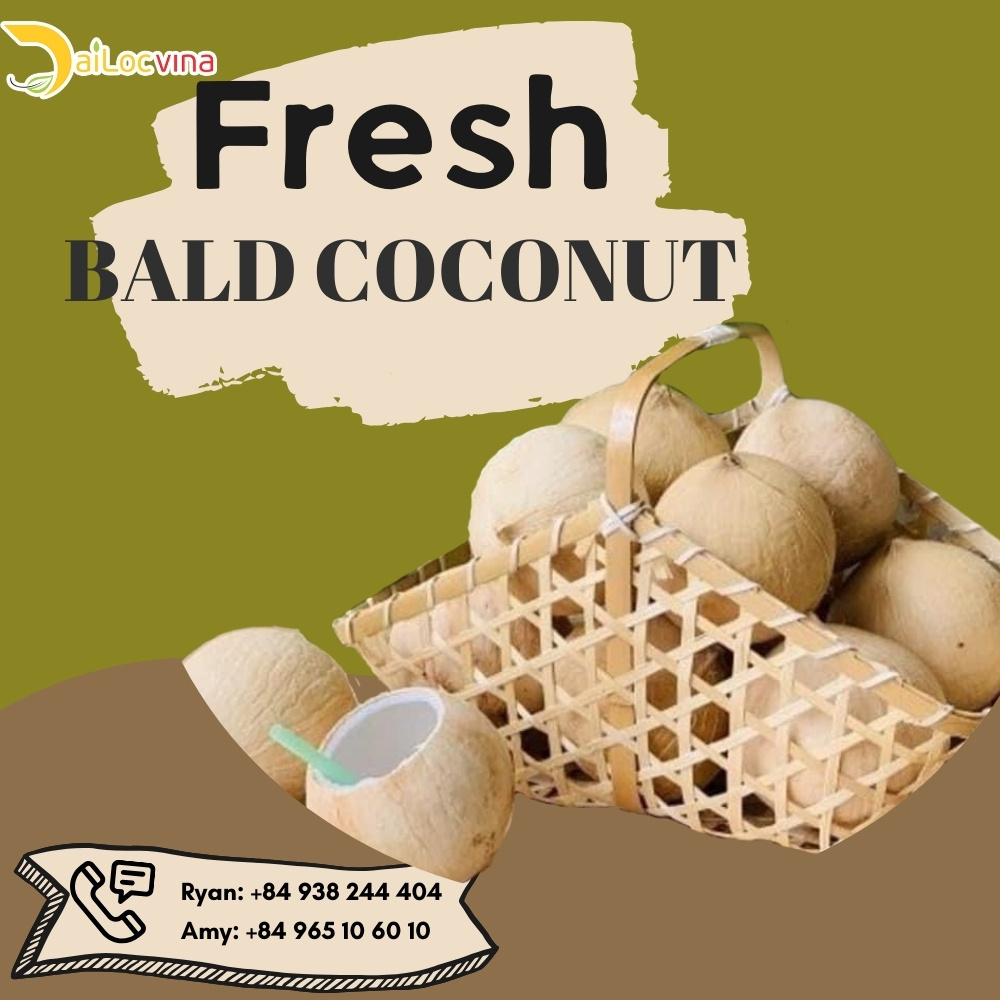 HOT PRICE ORGANIC TROPICAL EASY OPEN TOP AND BALD FRESH YOUNG COCONUT MADE FROM DAILOCVINA IN VIETNAM