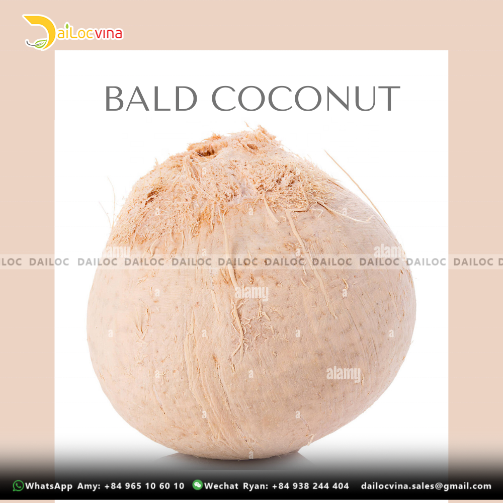 FRESH YOUNG COCONUT  FROM VIETNAM  BEST SELLER READY TO DRINK