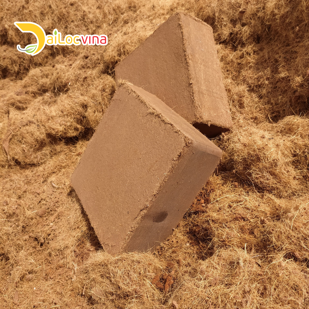 BEST PRICE COIR PITH COCO PEAT 5 KGS BLOCK FROM VIETNAM AGRICULTURE FOR GROWING WITH PREMIUM QUALITY