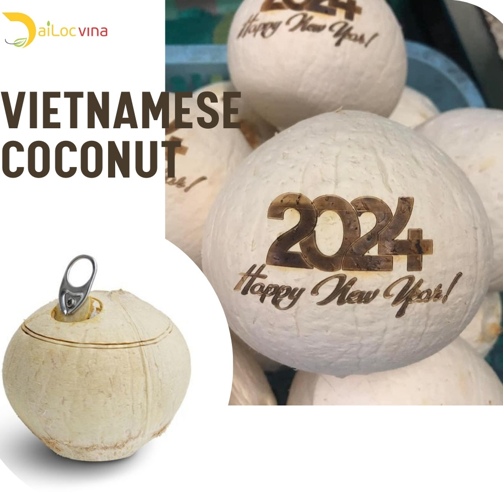 HOT PRICE ORGANIC TROPICAL EASY OPEN TOP AND BALD FRESH YOUNG COCONUT MADE FROM DAILOCVINA IN VIETNAM