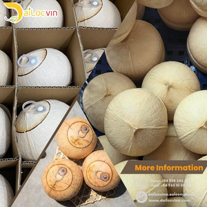 VIETNAM BEST PRICE CHEAP PRICE EASY OPEN TOP YOUNG COCONUT/ LID EASY YOUNG COCONUT/EASY TO OPEN PULL TAB COCONUT