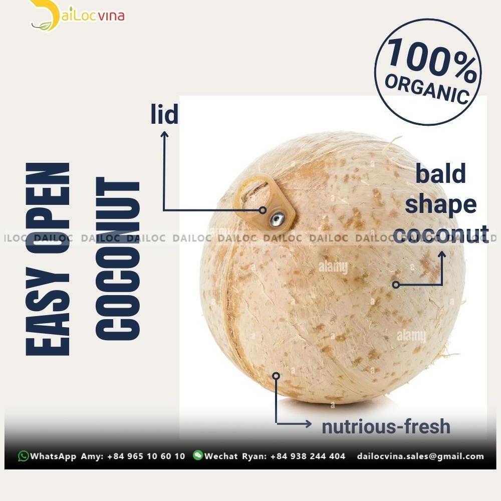 VIETNAM BEST PRICE CHEAP PRICE EASY OPEN TOP YOUNG COCONUT/ LID EASY YOUNG COCONUT/EASY TO OPEN PULL TAB COCONUT