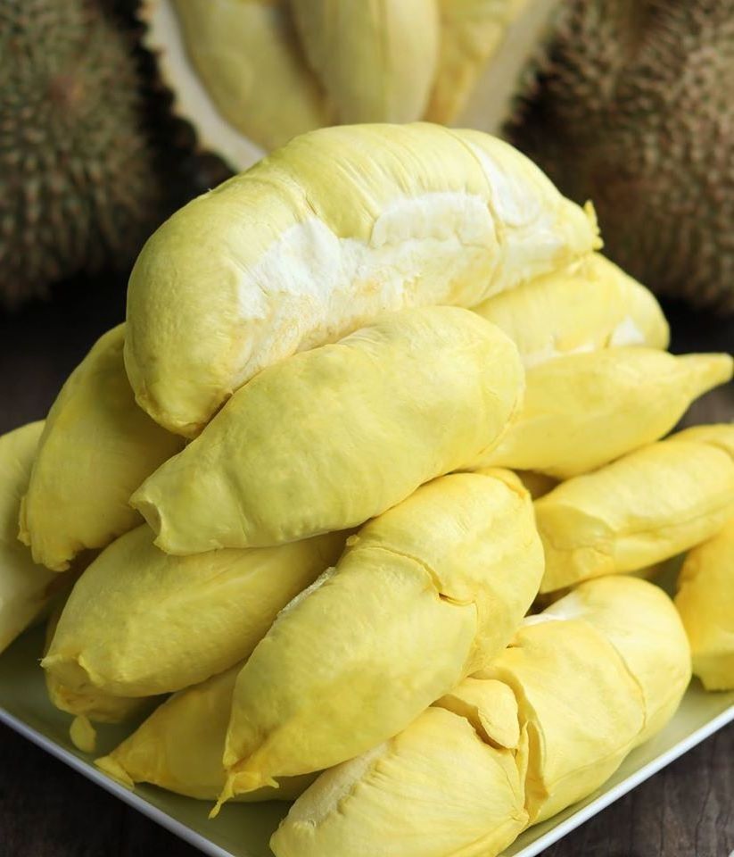 Fresh Musang king durian -  Monthong durian for export