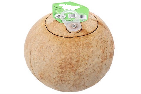 VIETNAM BEST PRICE CHEAP PRICE EASY OPEN TOP YOUNG COCONUT/ LID EASY YOUNG COCONUT/EASY TO OPEN PULL TAB COCONUT