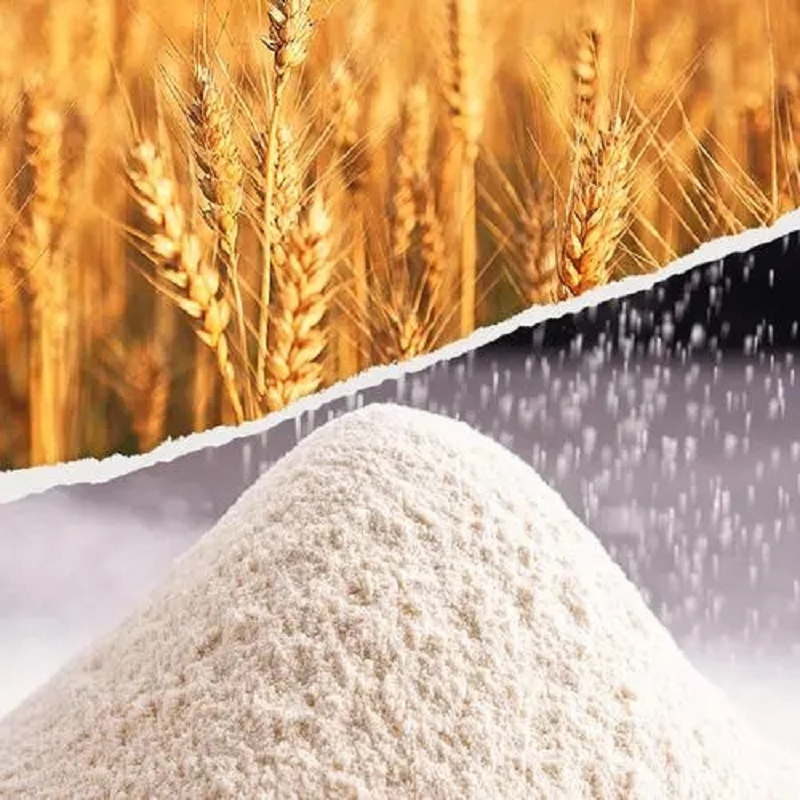 wholesale natural vegetable protein made from high-quality wheatwidely used in food and feed industries Vital Wheat Gluten