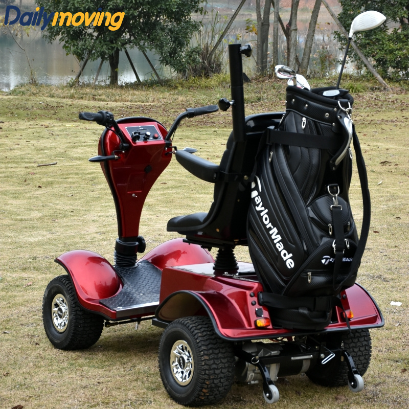 Single Seat Electric Golf Cart / Buggy with 24V 1000W Motor