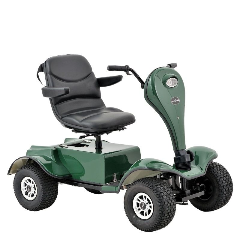 Single Seat Electric Golf Cart / Buggy with 24V 1000W Motor