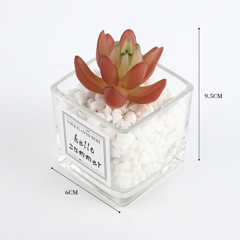 Simulation Of Green Plants Small Potted Office Table Decoration Mini Cactus Succulent Fake Flower Living Room Ornaments