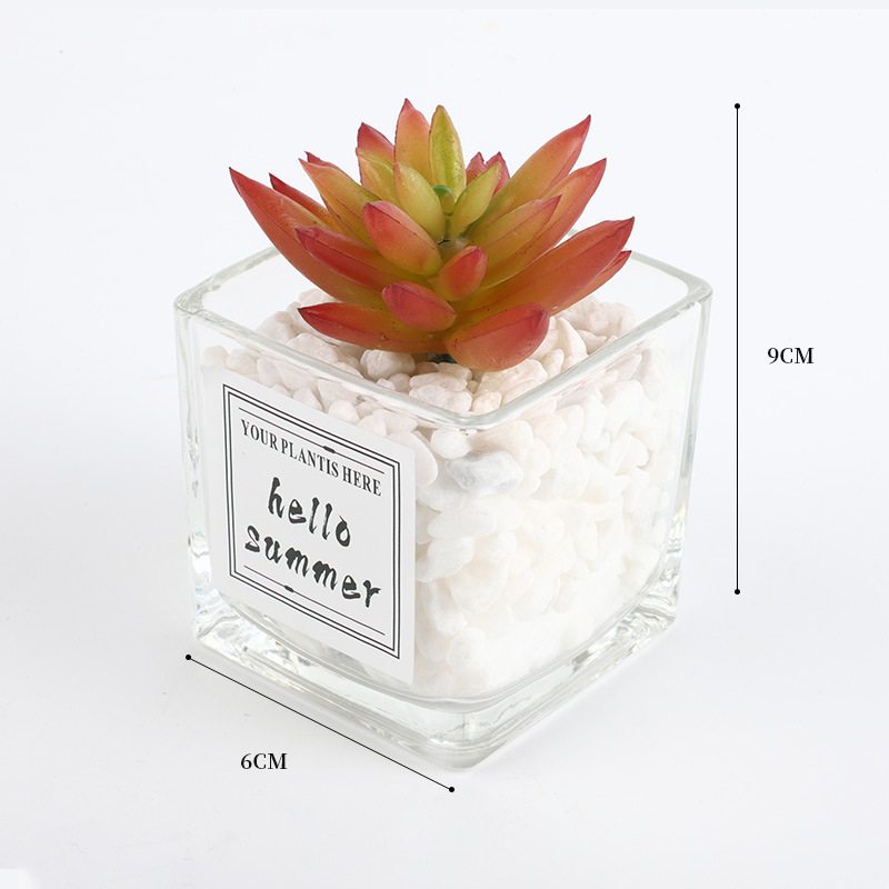 Simulation Of Green Plants Small Potted Office Table Decoration Mini Cactus Succulent Fake Flower Living Room Ornaments