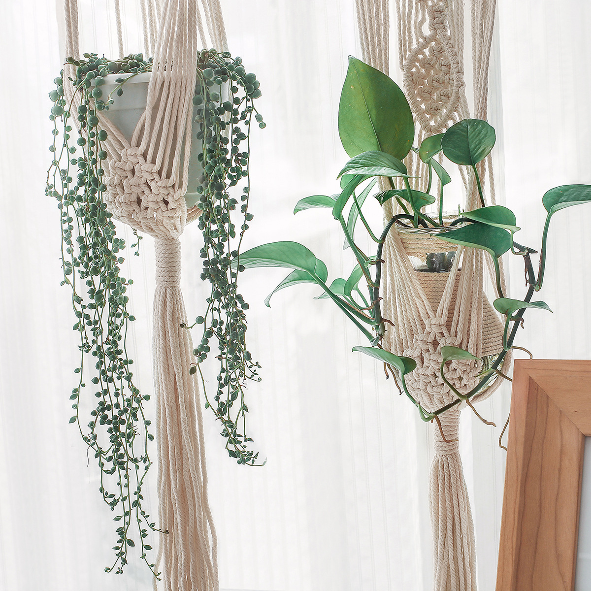 Hot Sale Boho Plant Hanger Indoor Outdoor Hanging Planter Basket Cotton Rope Macrame Plant Hangers