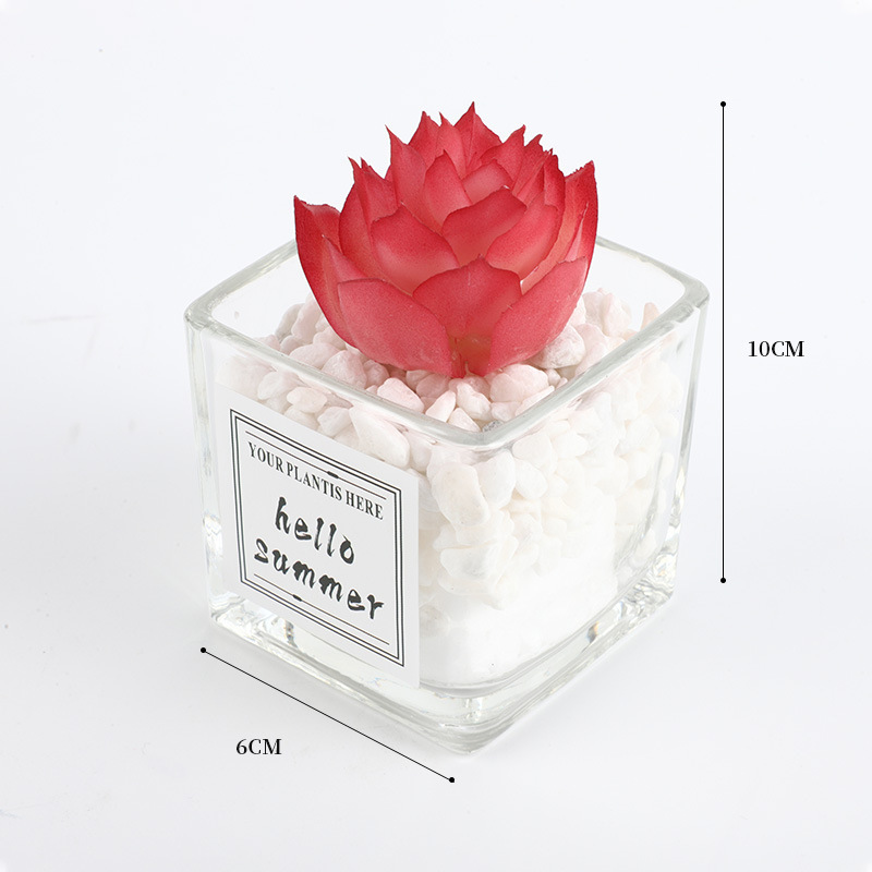 Simulation Of Green Plants Small Potted Office Table Decoration Mini Cactus Succulent Fake Flower Living Room Ornaments