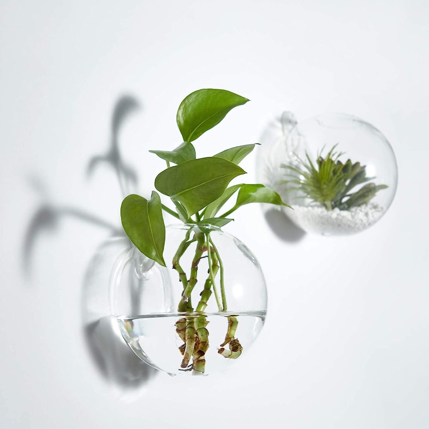 Wall Hanging Planters Terrarium Glass Air Plant Holder Pots for Plants