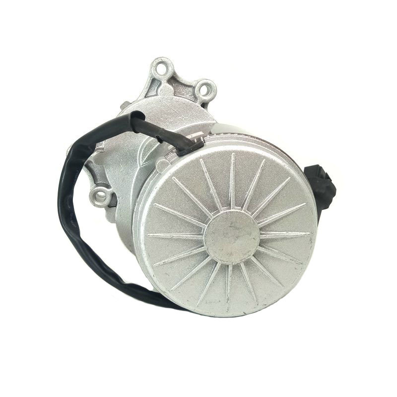 24V Wheelchair Motor High Torque 12V 24V Battery Powered Electric Wheelchair Dc Motor