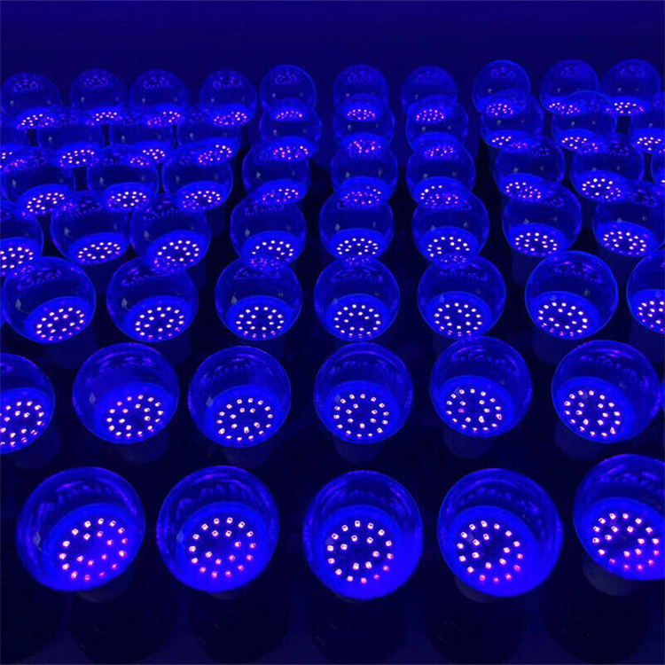 9W Black Light Bulbs A19 E26 LED Bulb UVA Level 385-400nm Blacklight Bulbs Suitable for Party Halloween Blacklight Party, Paint