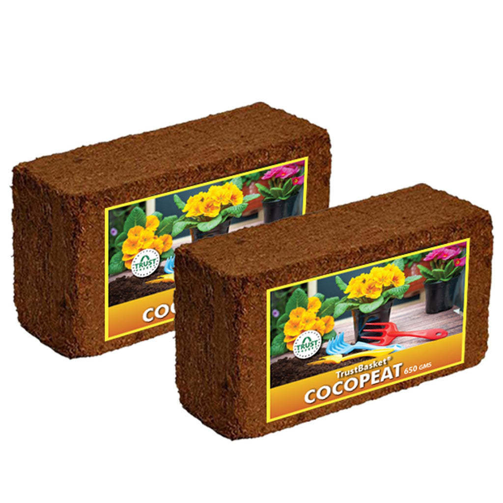 Wholesale Bulk Pallet Bale USA Canada Hydroponics Coco Coir Cocopeat Coco Peat