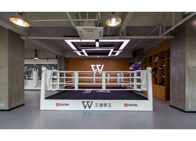 FIGHTBRO BG6 2021 Low Price High Quality Boxing Ring Floor Used Octagon Inflatable Mma Cage Fighting For Sale