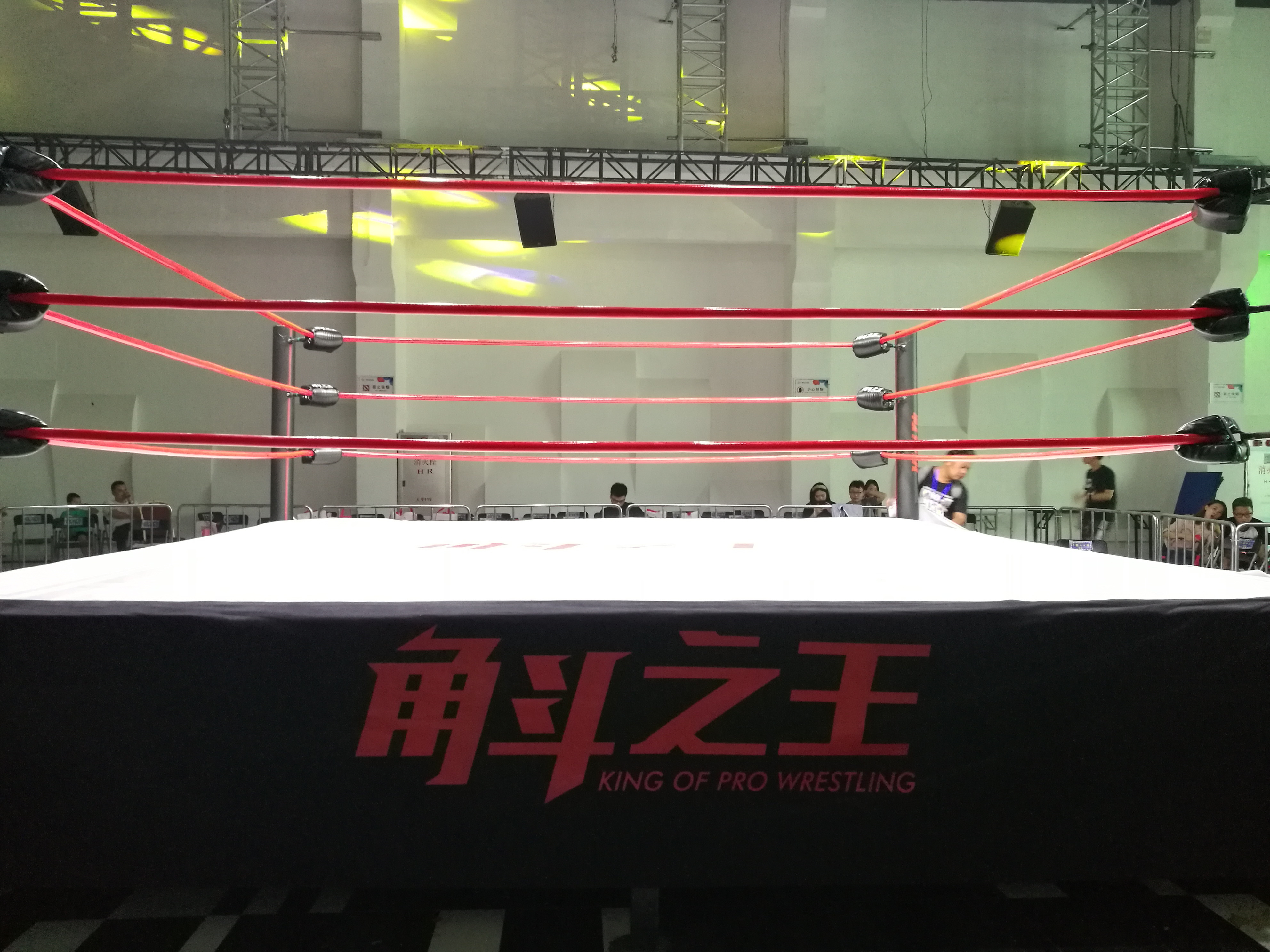 FIGHTBRO brand IBF standard boxing ring / square elevated boxing wrestling ring RG series