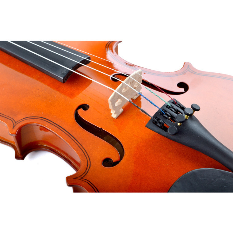 Wholesale Stringed Instruments Low Price Professional 4/4 Violin with Hard Case Rosin and Bow