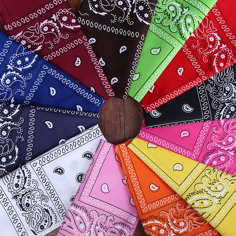 luxury ladies head Face mask 50cm bandanas bag scarfs women designer riding hair scarf polyester cotton Paisley scarves