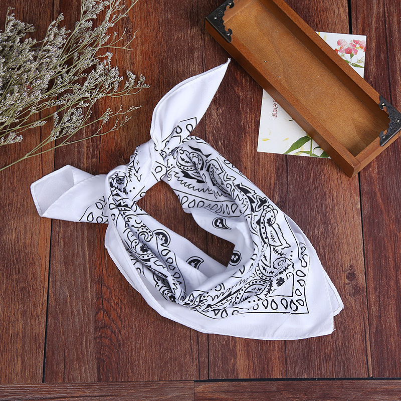 luxury ladies head Face mask 50cm bandanas bag scarfs women designer riding hair scarf polyester cotton Paisley scarves