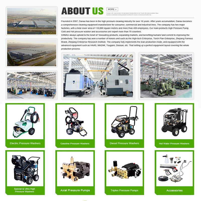 DANAU 1600PSI 110BAR or 2170PSI 150BAR High Pressure Washer Pump Reciprocating Triplex Plunger Axial Pump