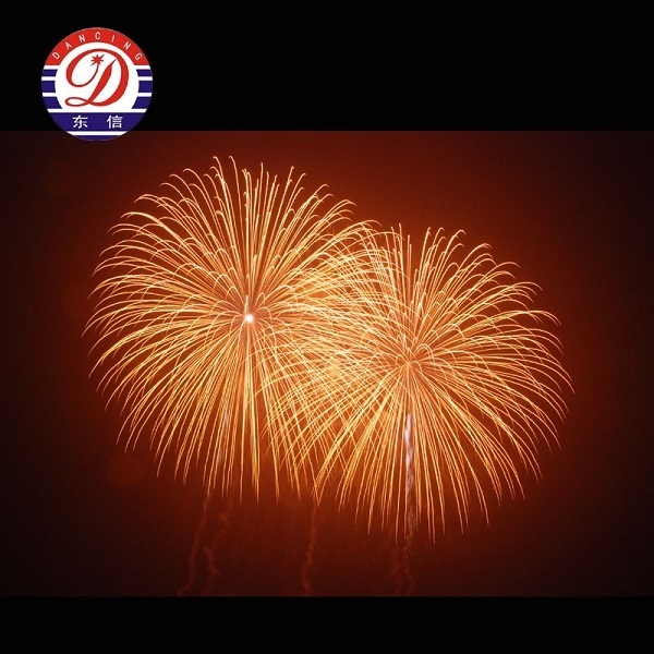 6 inch Pyro Display Shells Fireworks Show Celebration