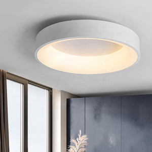 Round modern flush mount ceiling lamp indoor LED 24w white aluminum recessed pendant light