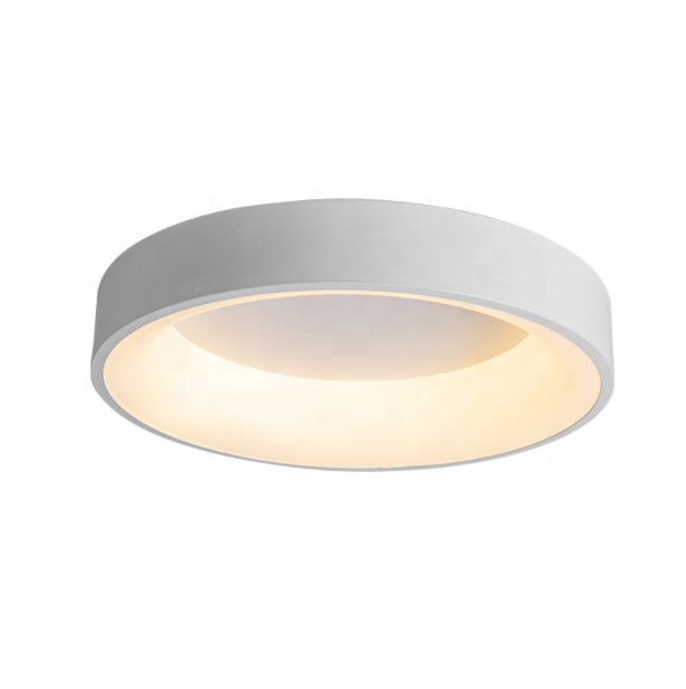 Round modern flush mount ceiling lamp indoor LED 24w white aluminum recessed pendant light