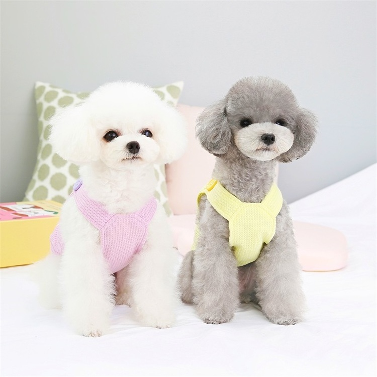 Cute Bear Design Pet Clothes Wholesale Dog Clothes Cool Summer Chinese Crested Dog Clothes