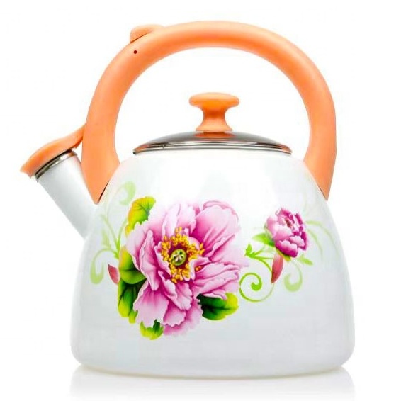 Custom Folar Enamel Coffee&Tea Pot Kettles Enamel Whistling Kettle as Amazing Gift for Housewarming