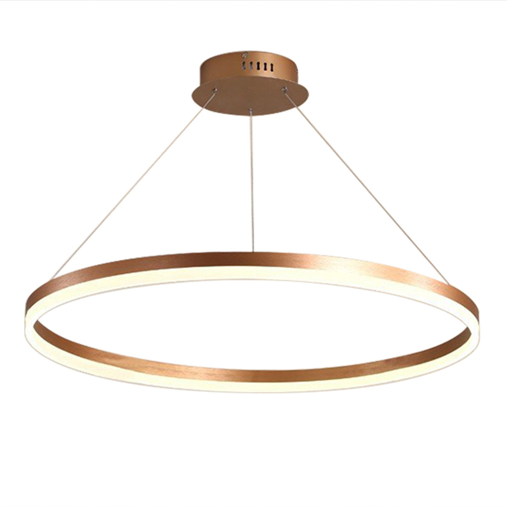 Commercial Ceiling Light Modern Double Ring Decorative Chandelier in White 50W LED Circular Pendant Light