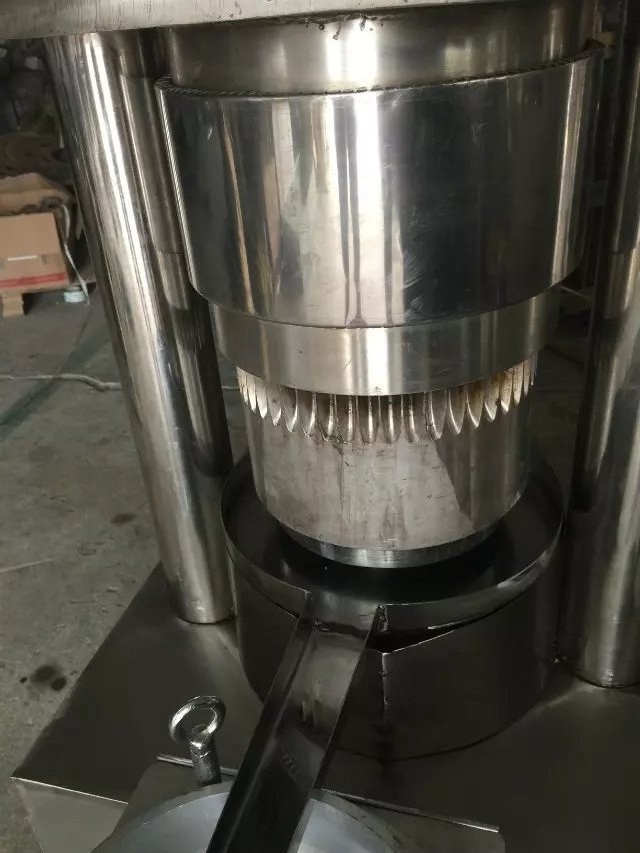 Automatic hydraulic Basil oil cold press machine