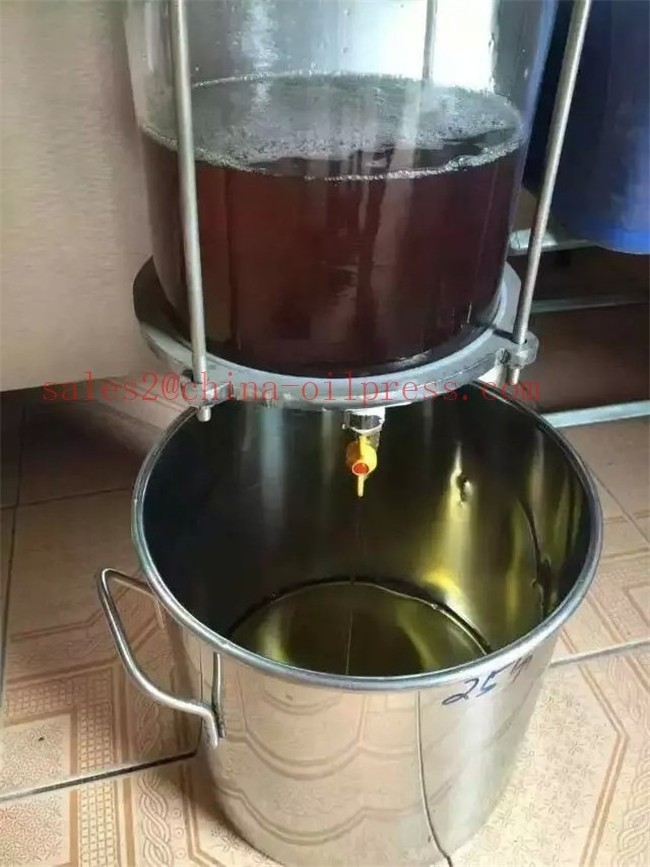 Hot And Cold Press Oil Extractor Machine