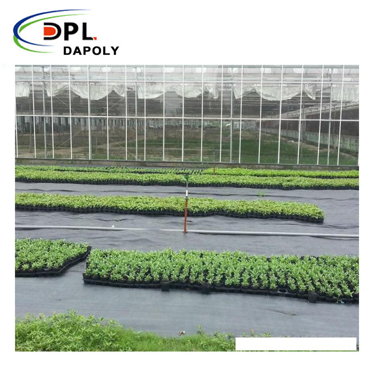 Dapoly Weed Mat Agricultural PP Plastic Fabric Anti Grass Mat Ground Cover Weed Control Mat