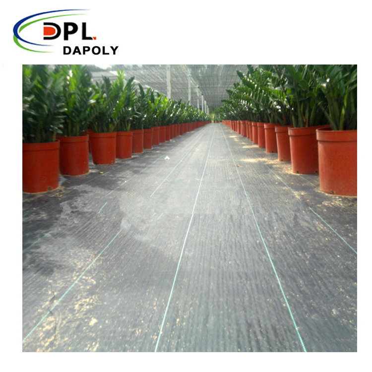 Dapoly Weed Mat Agricultural PP Plastic Fabric Anti Grass Mat Ground Cover Weed Control Mat