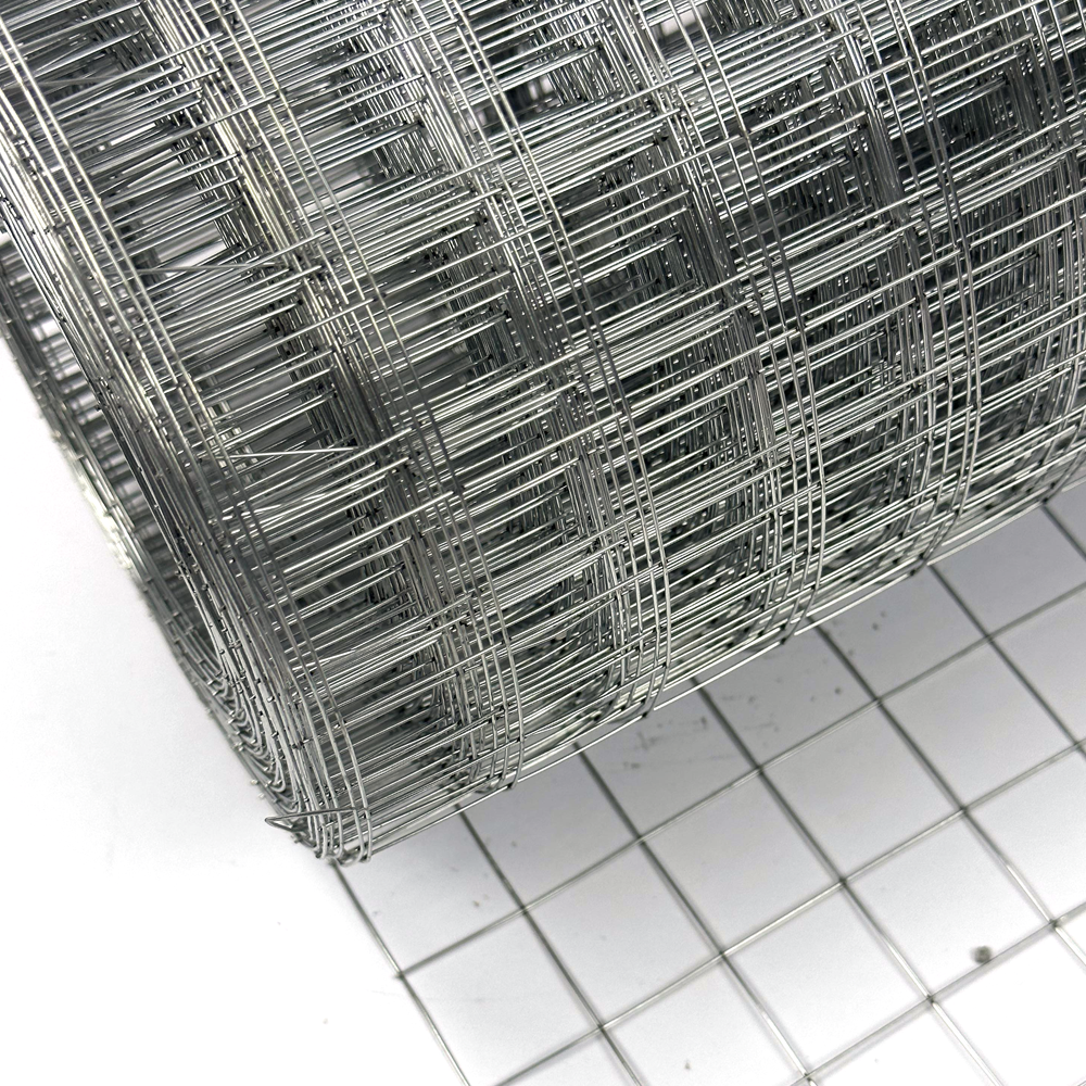 China professional cheap aviary wire mesh/2x2 galvanized welded wire mesh panel/20 gauge steel wire mesh