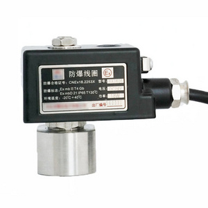 Darhor ExdllB T4 Explosion- proof  solenoid valve 24V for fuel gas hydrogen 220V