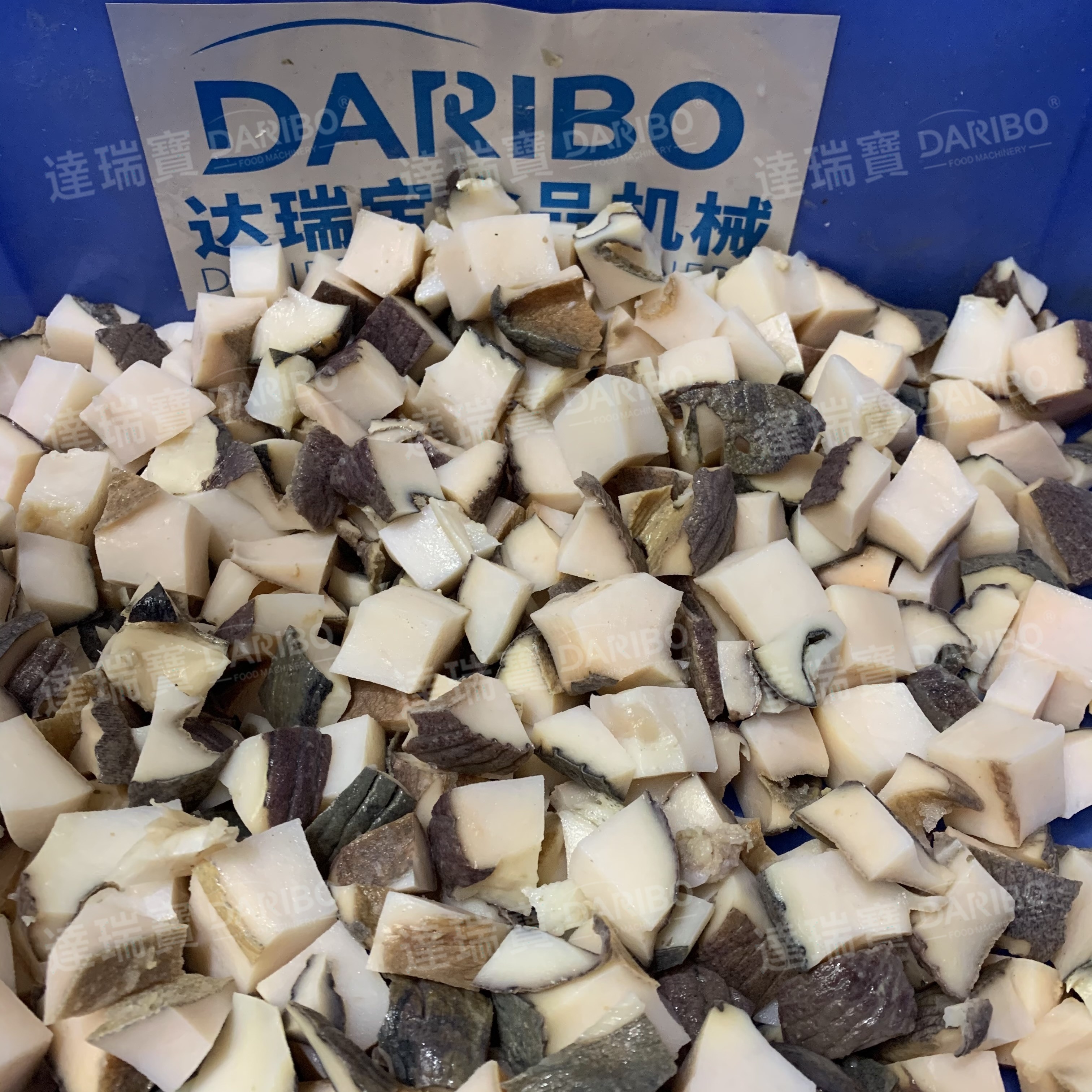 High Efficiency DARIBO Snail Meat Dicing Machine Factory for Sale