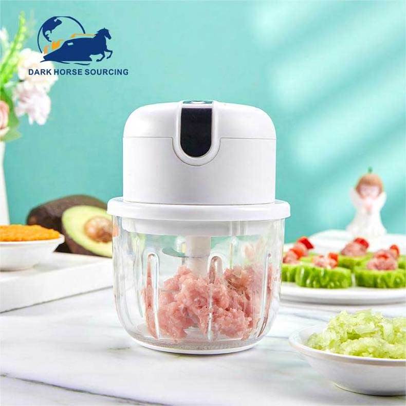 Hot sell Multifunction Kitchen gadgets mini electric garlic chopper press presser onion chopper with USB Charge