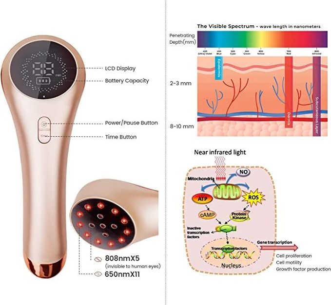 Handy cold laser therapy device for pet pain relief