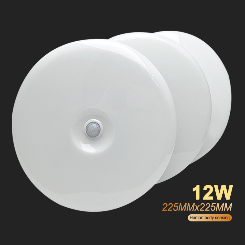 China manufacture white circle 220v 12w 225mm corridor celling lamp ceiling light