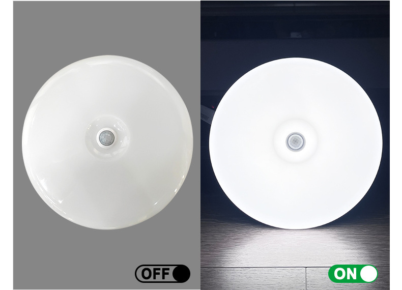 China manufacture white circle 220v 12w 225mm corridor celling lamp ceiling light