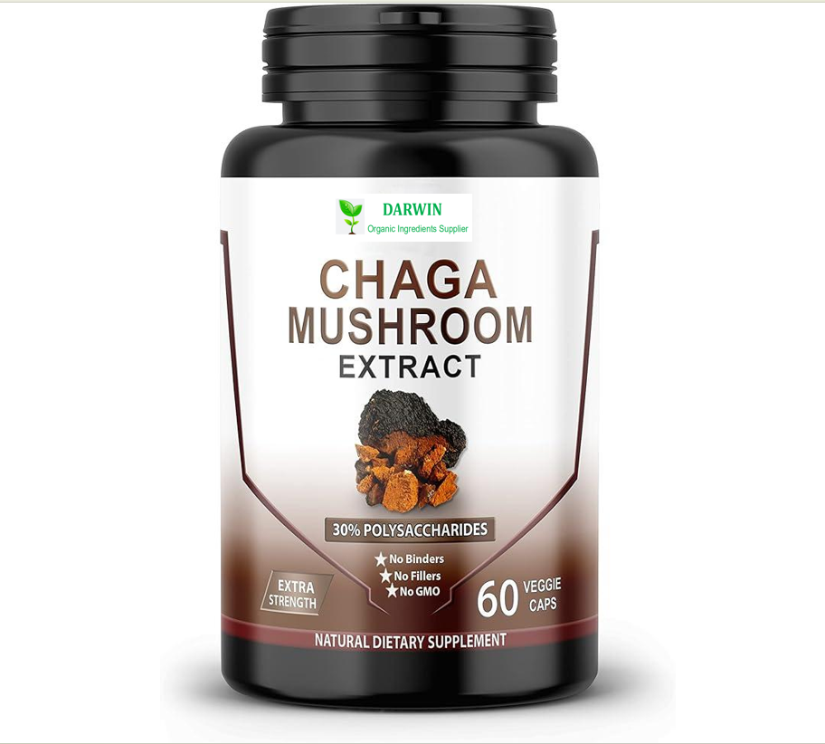 Darwin Supplements Polysaccharide Inonotus obliquus Extract Capsule 500mg Chaga Mushroom Capsules